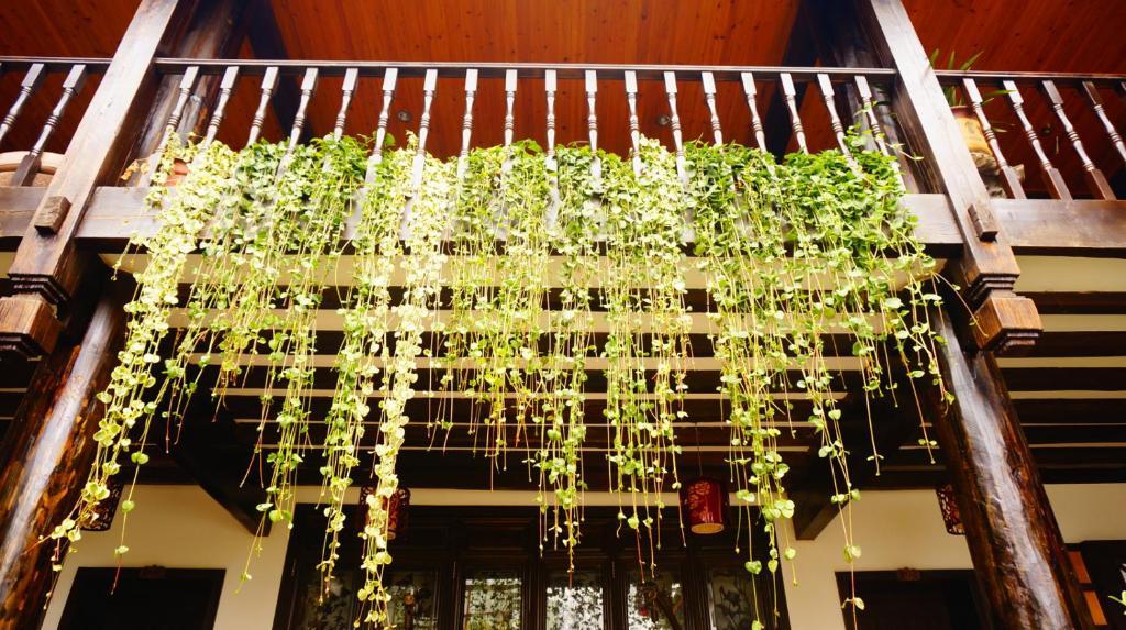 Lijiang Wangjia Courtyard Inn Lijiang (Yunnan) Exterior foto